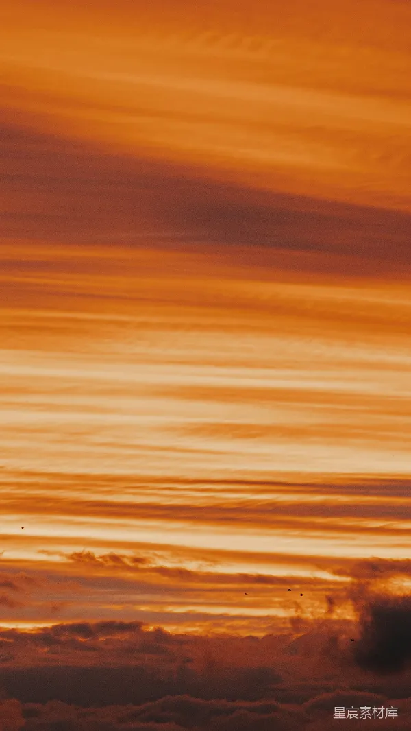 高清摄影 夕阳下的云海