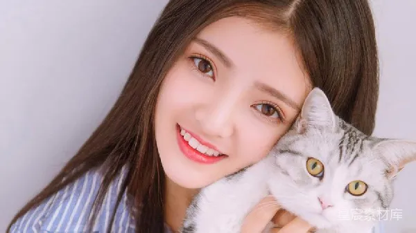 高清摄影 甜美女孩与萌宠猫咪
