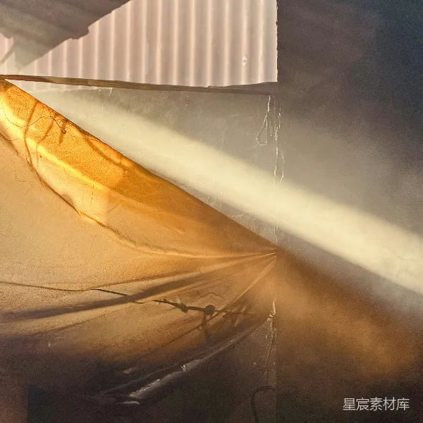 高清摄影 阳光下的蜘蛛网