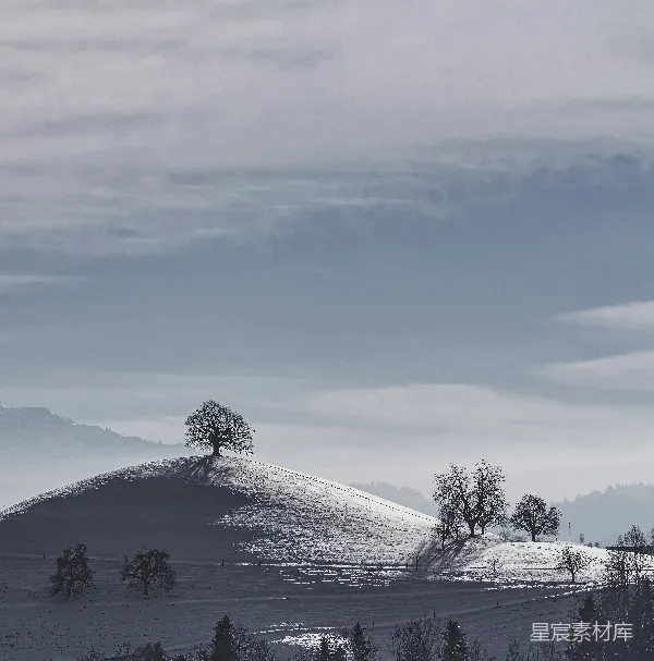 高清摄影 冬日孤树与雪景