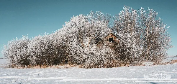 高清摄影 冬日雪景中的废弃小屋