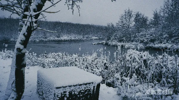 高清摄影 冬日雪景中的宁静湖边