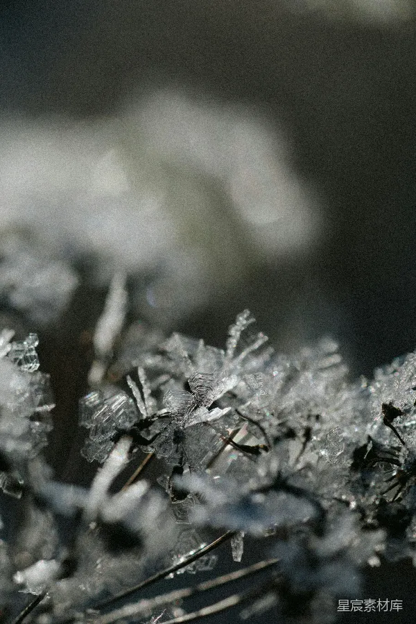 高清摄影 雪晶的微观世界