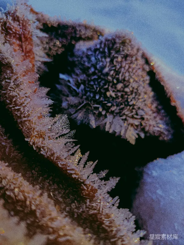 高清摄影 冰晶的心形特写