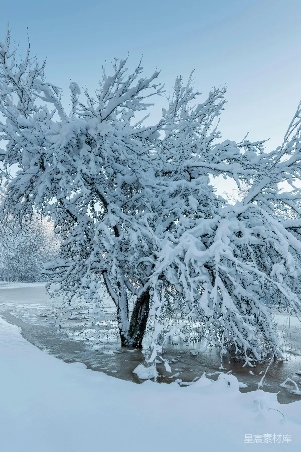高清摄影 冬日雪景下的静谧河流