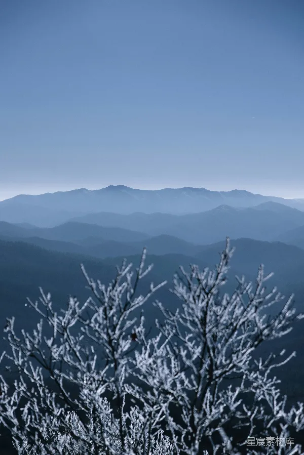 高清摄影 冬日山景与霜枝