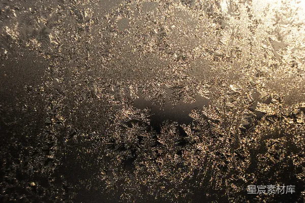 高清摄影 冰花之舞