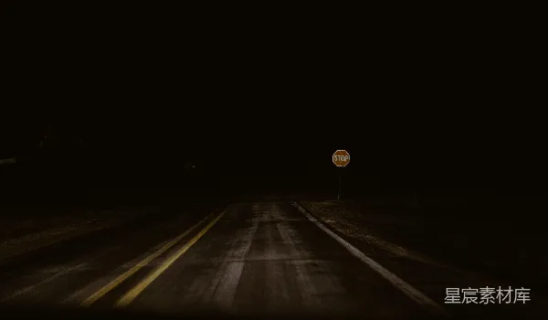 高清摄影 夜色中的停靠标志