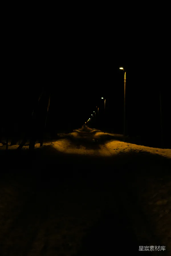 高清摄影 冬夜的路灯