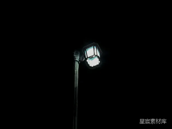 高清摄影 夜色中的路灯