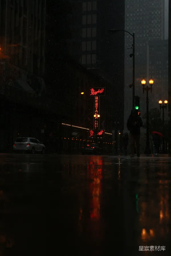 高清摄影 雨夜霓虹下的城市街景
