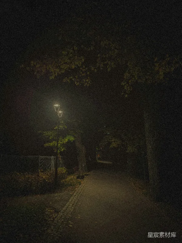高清摄影 夜色中的小径
