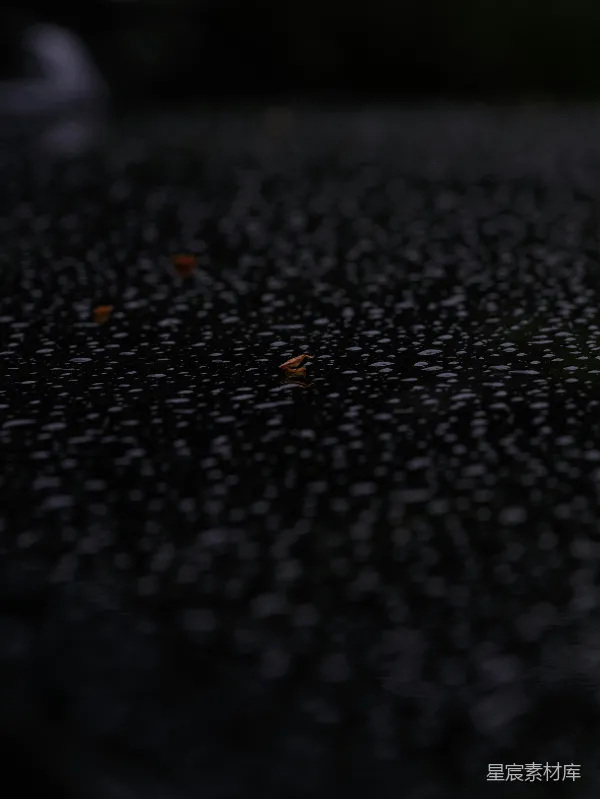 高清摄影 雨后静谧的水面