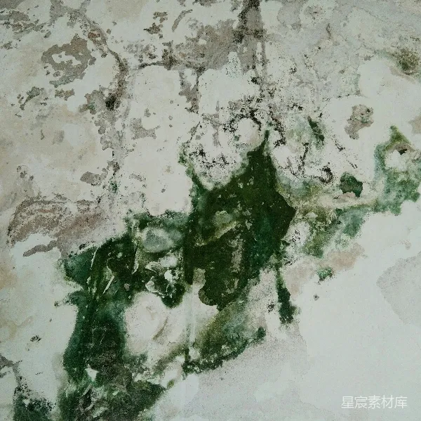 高清摄影 斑驳的绿意
