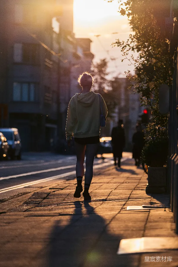 高清摄影 夕阳下的漫步