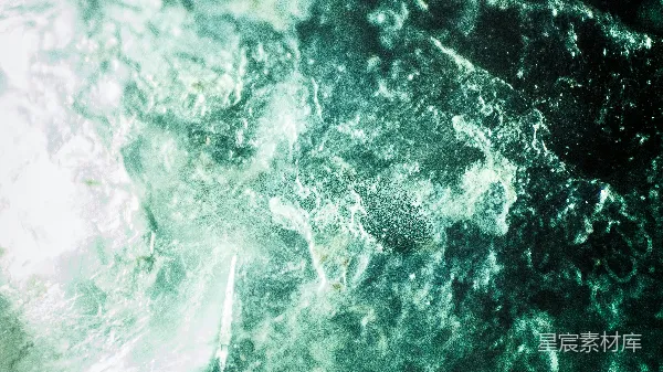 高清摄影 深海珊瑚礁