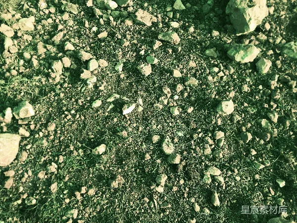 高清摄影 绿意盎然的石子路