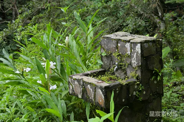 高清摄影 自然中的古泉