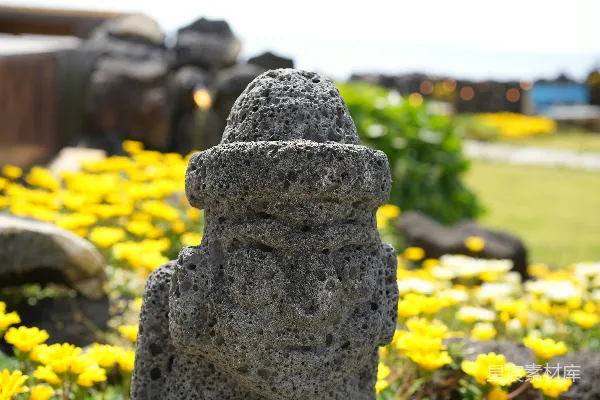 高清摄影 火山石雕像与黄色花朵