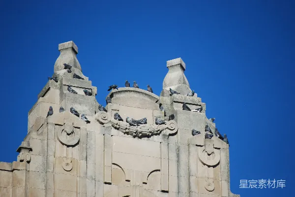 高清摄影 鸽子栖息在建筑顶部