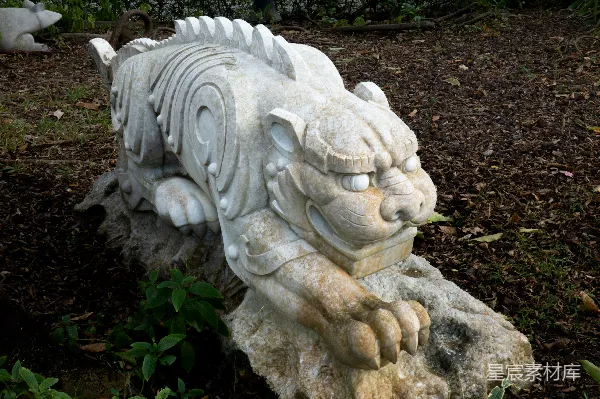 高清摄影 石雕老虎雕像