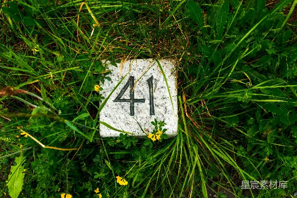 高清摄影 荒草中的数字41