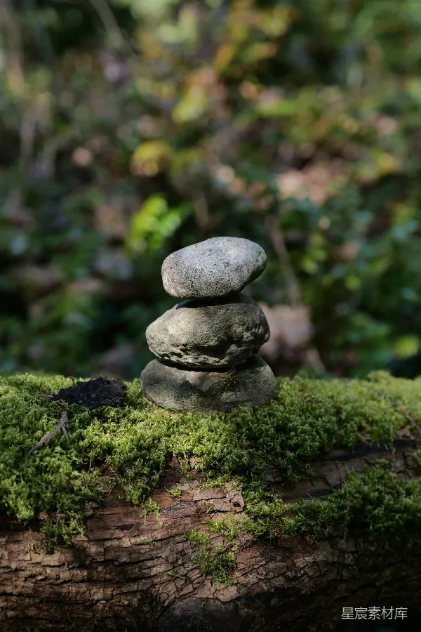 高清摄影 自然平衡：苔藓上的石头堆