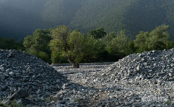 高清摄影 荒野中的独树
