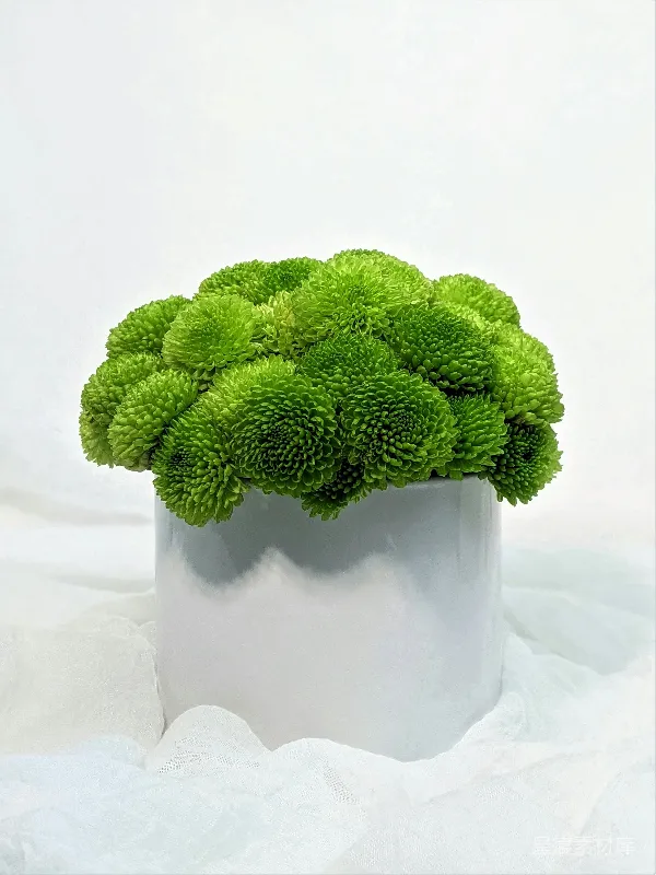 高清摄影 清新绿色菊花花艺
