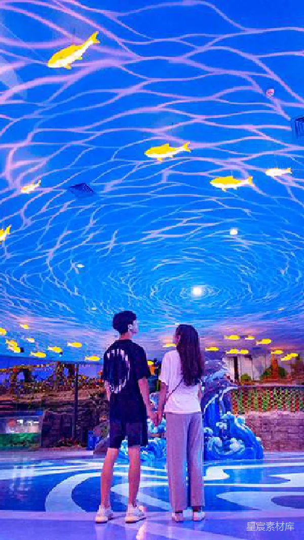 高清摄影 海底世界：情侣共赏梦幻水族馆