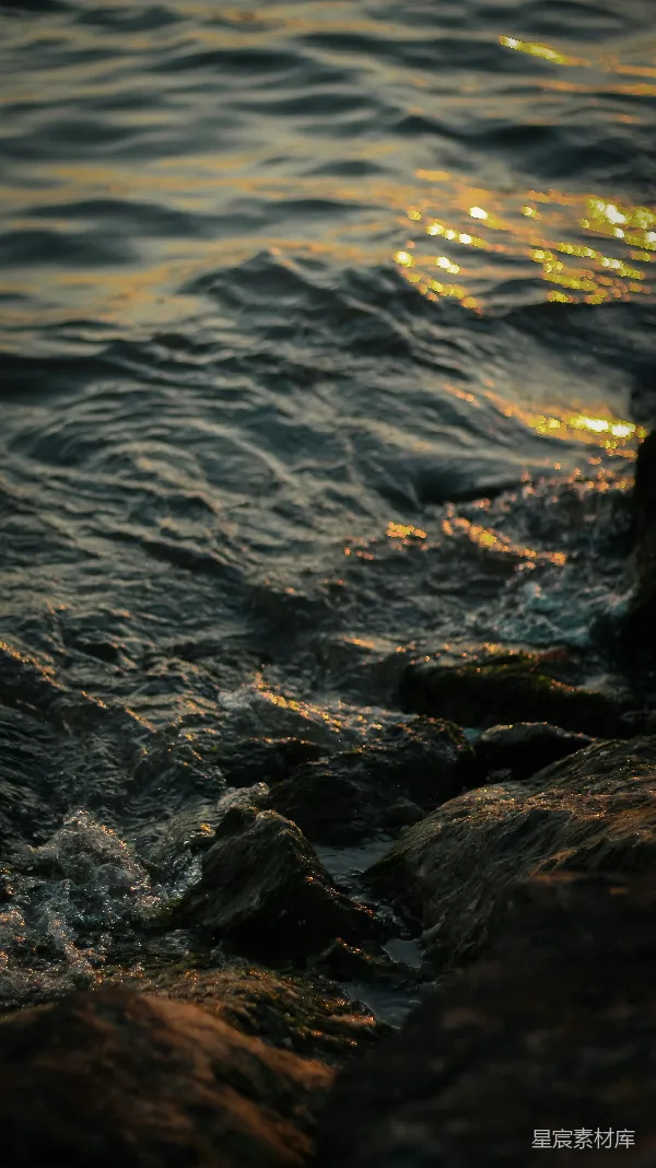 高清摄影 夕阳下的海岸