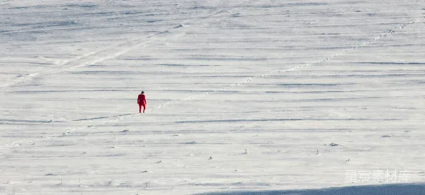 高清摄影 雪地独行者