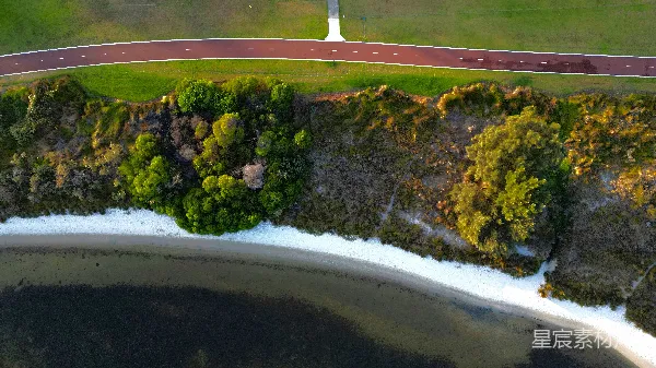 高清摄影 海岸边的绿色植被与道路