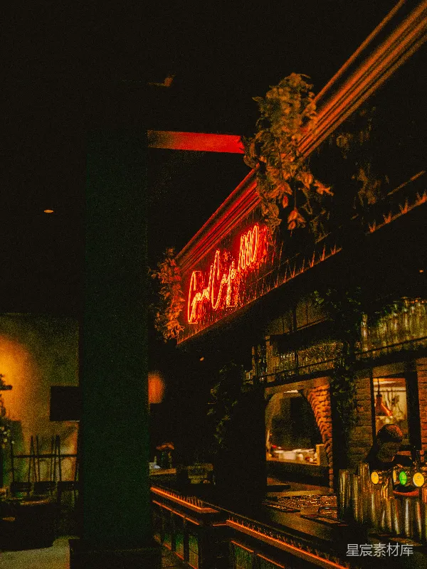 高清摄影 夜色中的酒吧霓虹灯