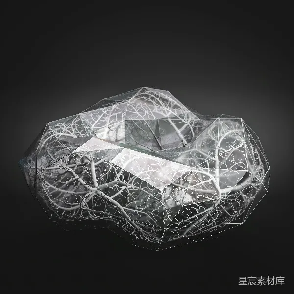 高清摄影 晶透的有机结构
