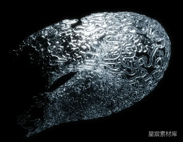 高清摄影 脑结构的透明3D模型