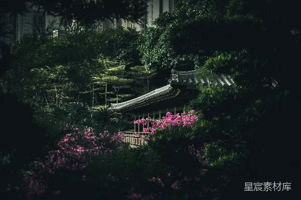 高清摄影 城市中的宁静花园