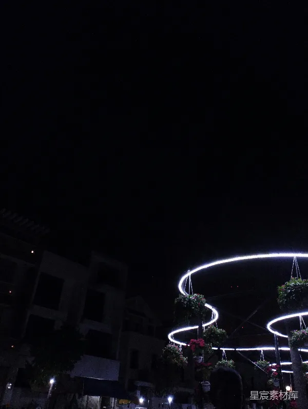 高清摄影 夜色下的花环灯饰