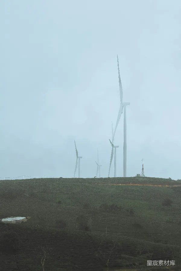 高清摄影 雾中风车与茶园
