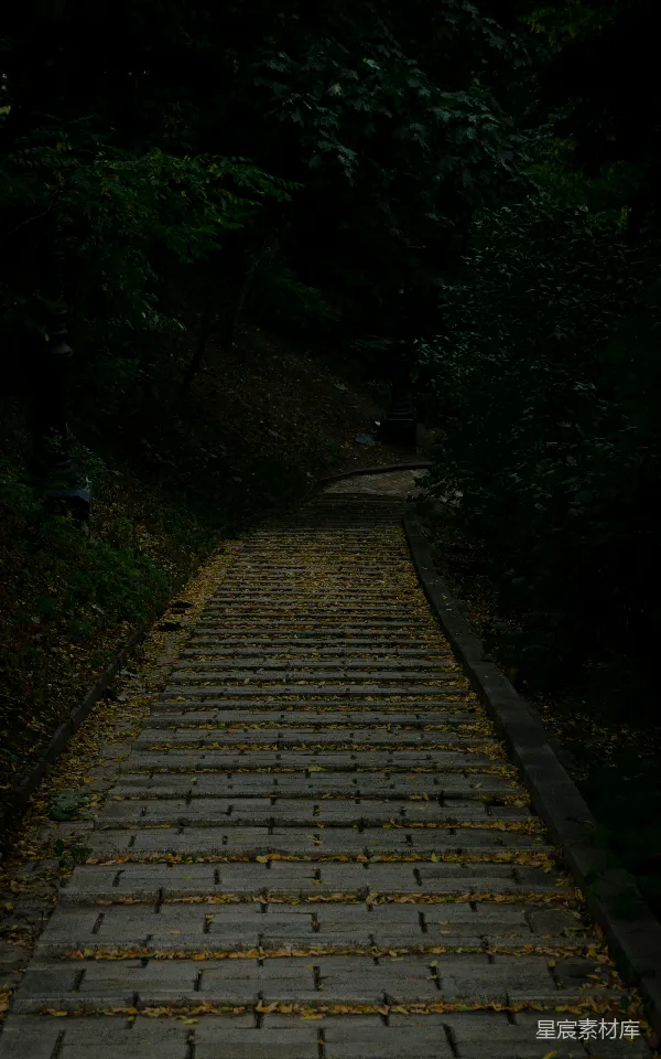 高清摄影 幽暗的小径