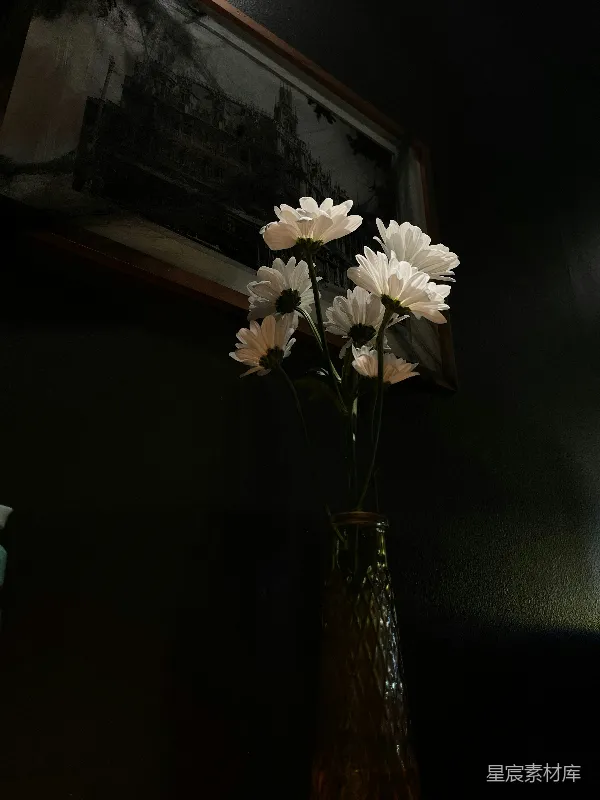 高清摄影 光影下的花瓶