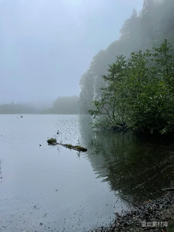 高清摄影 雨中静谧的湖泊