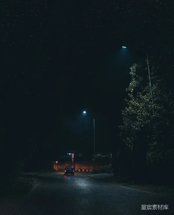 高清摄影 夜色中的路灯与汽车