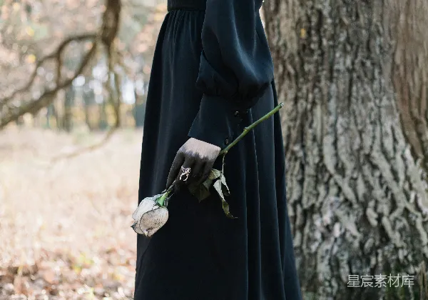 高清摄影 黑衣女子手捧枯萎玫瑰