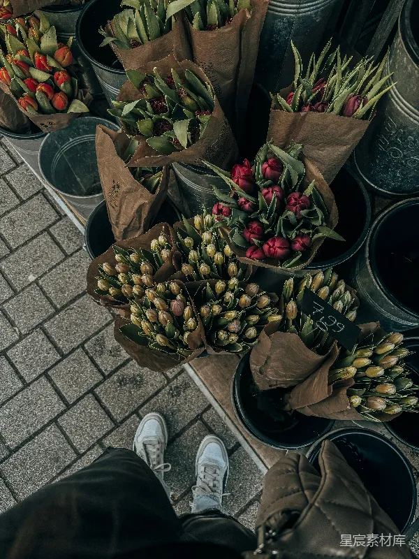 高清摄影 市场上的郁金香花束