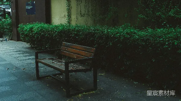 高清摄影 雨后静谧的长椅