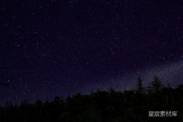 高清摄影 夜空下的森林