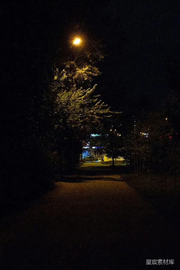 高清摄影 夜色中的街灯与小径