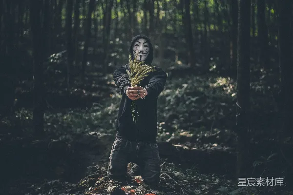 高清摄影 面具下的森林使者