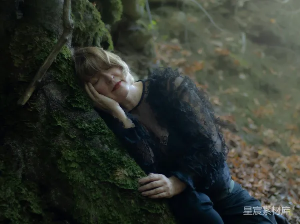 高清摄影 森林中的梦境